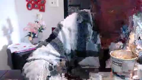 Carlie online show from 13, 3, 2026