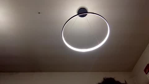 Carlos online show from 8, 2, 2025