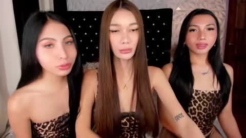 Carlotta online show from 4, 10, 2025