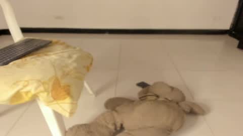 Caro online show from 11, 3, 2026