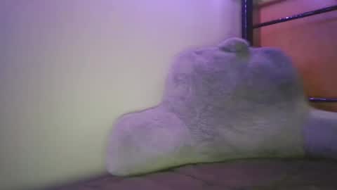 Casey Joe online show from 5, 2, 2026