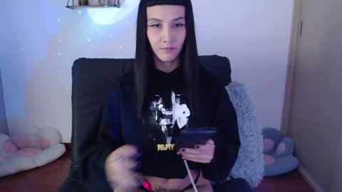 cat online show from 16, 1, 2025