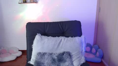 cat online show from 21, 1, 2025