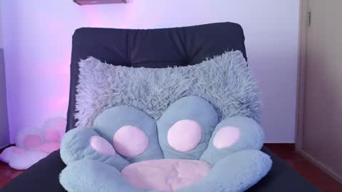 cat online show from 28, 1, 2025