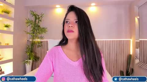 CATA  online show from 27, 2, 2026