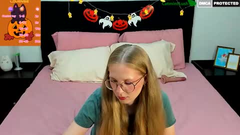 CatmintLush online show from 2, 11, 2025