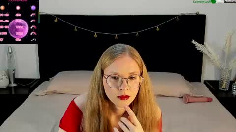CatmintLush online show from 31, 7, 2026