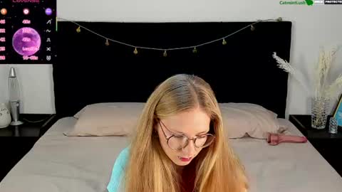 CatmintLush online show from 1, 8, 2026