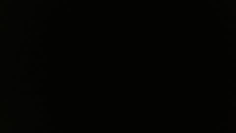 cattalina online show from 6, 2, 2025