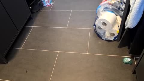 Snapshot of cazzoduroxxx92 chatting on 8, 3, 2025 Telegram ldl123 online show from 8, 3, 2025