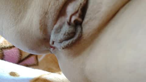 Snapshot of cbz112233 chatting on 4, 3, 2026 ANNYANNY online show from 4, 3, 2026