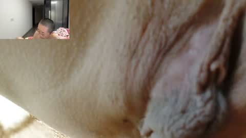ANNYANNY online show from 25, 6, 2026