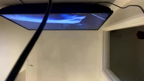 ccsexycam online show from 10, 4, 2026