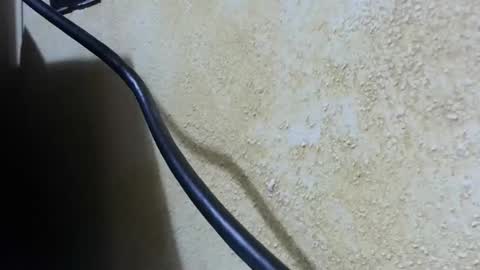 celhoduro23c online show from 28, 11, 2025