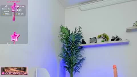 Snapshot of cellesteevans chatting on 21, 1, 2025 Celeste online show from 21, 1, 2025