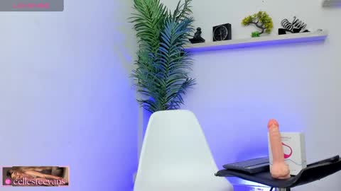 Snapshot of cellesteevans chatting on 25, 1, 2025 Celeste online show from 25, 1, 2025