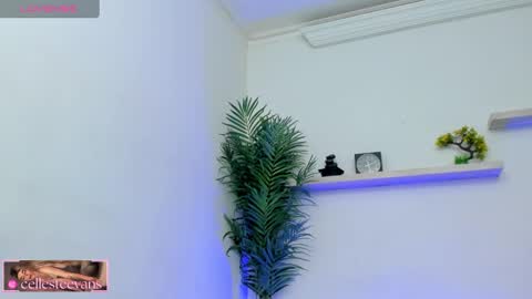 Snapshot of cellesteevans chatting on 11, 2, 2025 Celeste online show from 11, 2, 2025