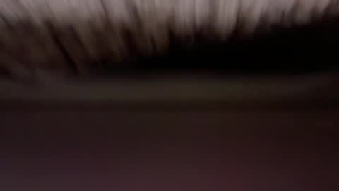 Snapshot of cenobitfor chatting on 5, 3, 2026 cenobitfor online show from 5, 3, 2026