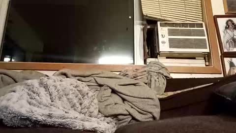 Snapshot of chad1980420 chatting on 4, 2, 2026 Chad420247 online show from 4, 2, 2026