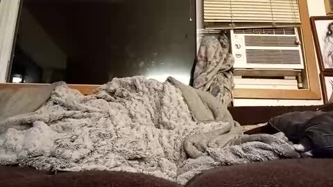 Snapshot of chad1980420 chatting on 11, 2, 2026 Chad420247 online show from 11, 2, 2026