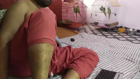Stormydick online show from 11, 7, 2026