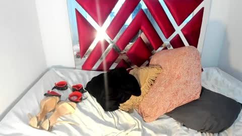 Snapshot of channellross chatting on 26, 2, 2025 Chanell online show from 26, 2, 2025