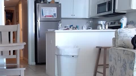 charleyandsmokie online show from 31, 10, 2025