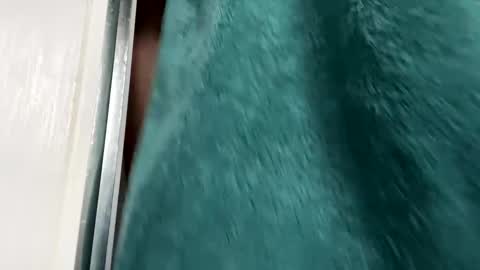 Snapshot of charlieg123 chatting on 29, 11, 2025 Gary online show from 29, 11, 2025