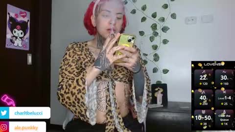 Ale punky online show from 27, 3, 2026