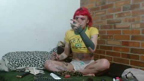 Ale punky online show from 1, 5, 2026
