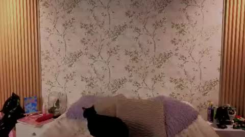 You honey online show from 14, 7, 2026