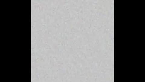 Charlotte online show from 12, 3, 2025