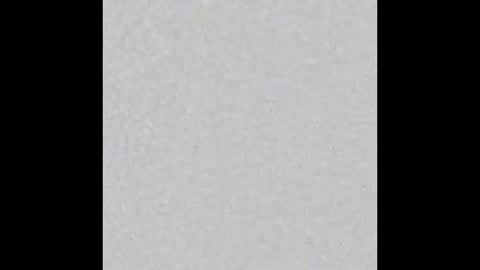 Charlotte online show from 10, 11, 2025