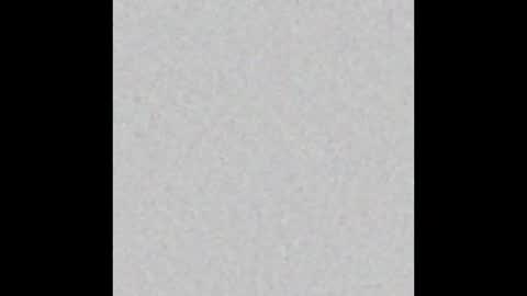 Charlotte online show from 7, 2, 2026