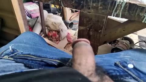 Parcero online show from 9, 9, 2025