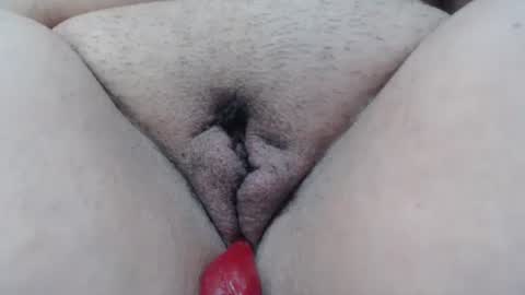 Snapshot of cheliafun chatting on 10, 1, 2026 Cheila online show from 10, 1, 2026