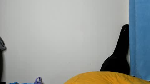 cherry_falls online show from 25, 7, 2026