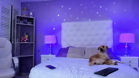 Sussan Cherry  online show from 1, 2, 2025