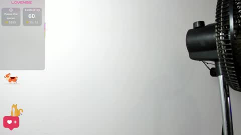 Samy Perez online show from 22, 2, 2026