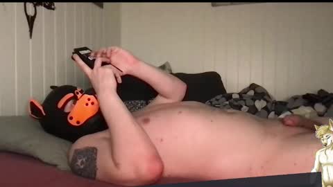 ChestBellyFetish online show from 28, 3, 2026