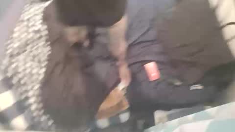 Chevy online show from 15, 10, 2025