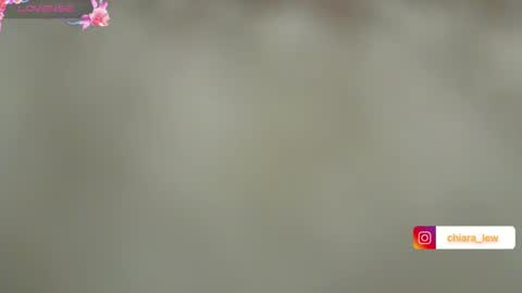 Chiara Lovense is active Pvt open online show from 12, 12, 2024