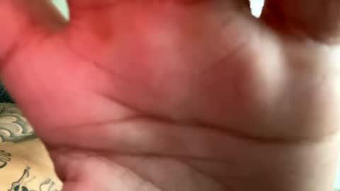 CHINO online show from 14, 9, 2025