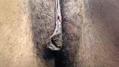 Cutie online show from 3, 5, 2026