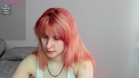 choco_meowx online show from 6, 5, 2026