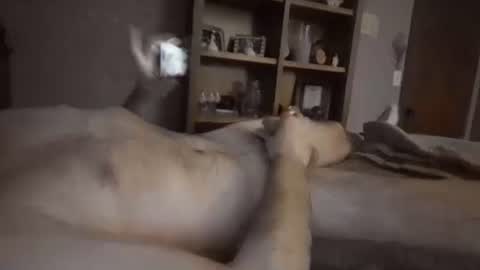 chrisw8121 online show from 6, 2, 2026