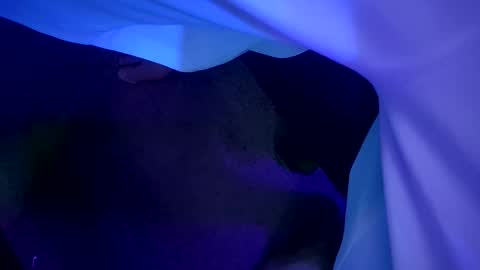 Snapshot of chronicvibez chatting on 19, 3, 2026 chronicvibez online show from 19, 3, 2026