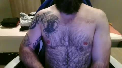 chub bear 99 online show from 24, 6, 2026
