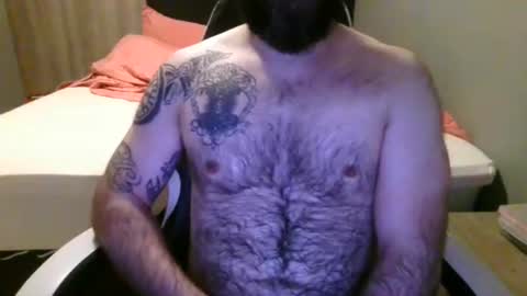 chub bear 99 online show from 7, 7, 2026