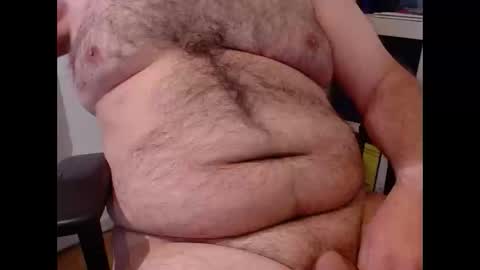 Chubby Bear BY online show from 12, 5, 2026